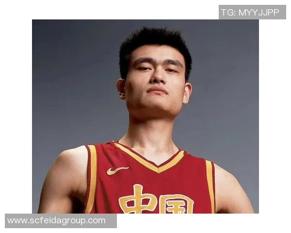 姚明手掌图揭示巨人之力与篮球艺术的完美结合与深刻意义