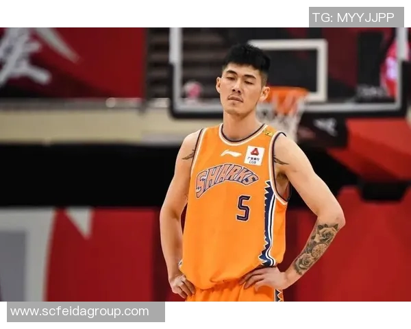 刘铮的成长之路:从篮球新星到职业生涯的辉煌历程与挑战