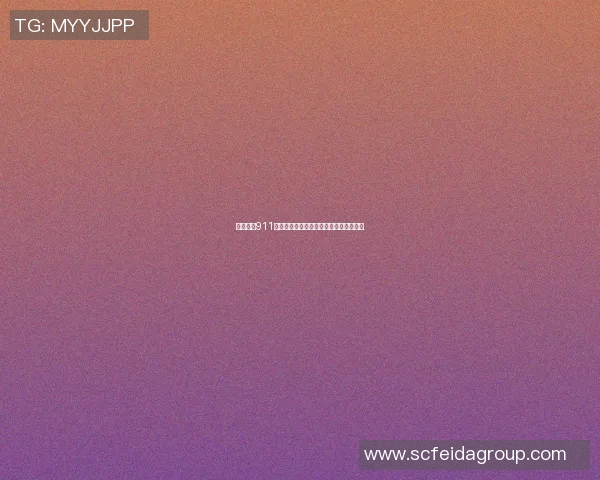篮球明星911的传奇故事与他在赛场上的辉煌成就解析